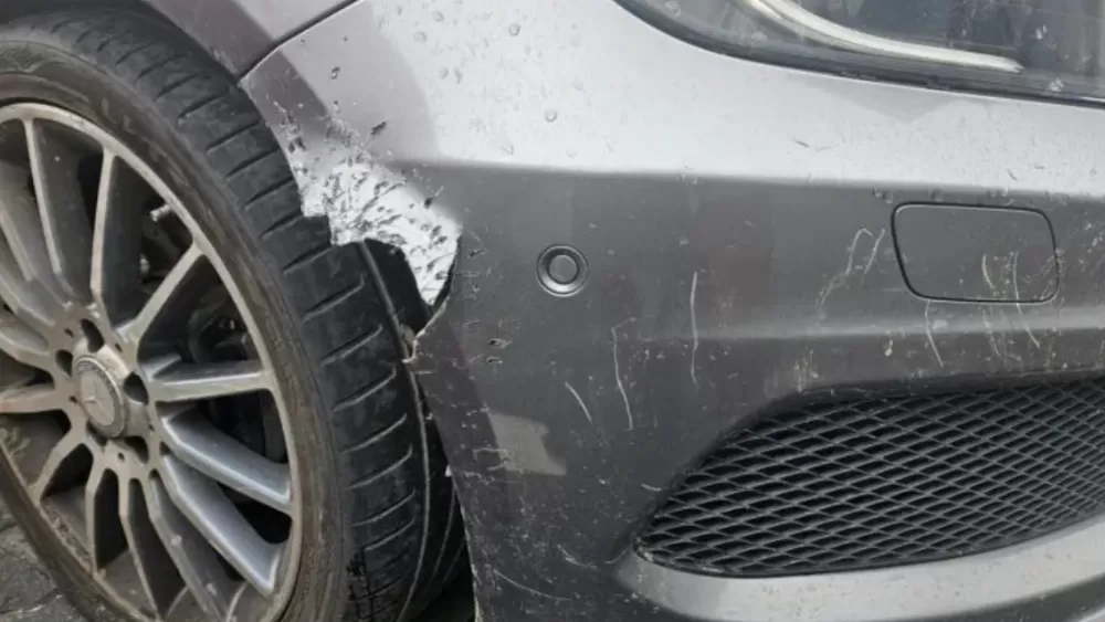 У Тернополі собаки погризли припаркований автомобіль "Мерседес"