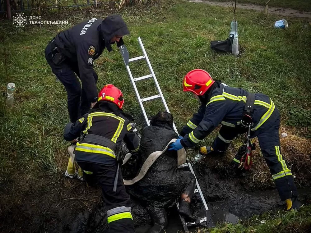 Жителька Бережан впала у двометрову канаву і не могла вибратись
