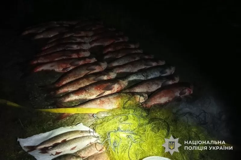 Тернополянин сітками виловив 250 кг риби: загрожує ув'язнення до трьох років