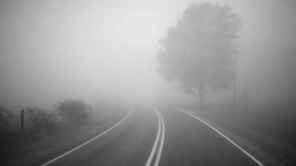 Попередження від синоптиків: суне густий туман на Тернопільщину