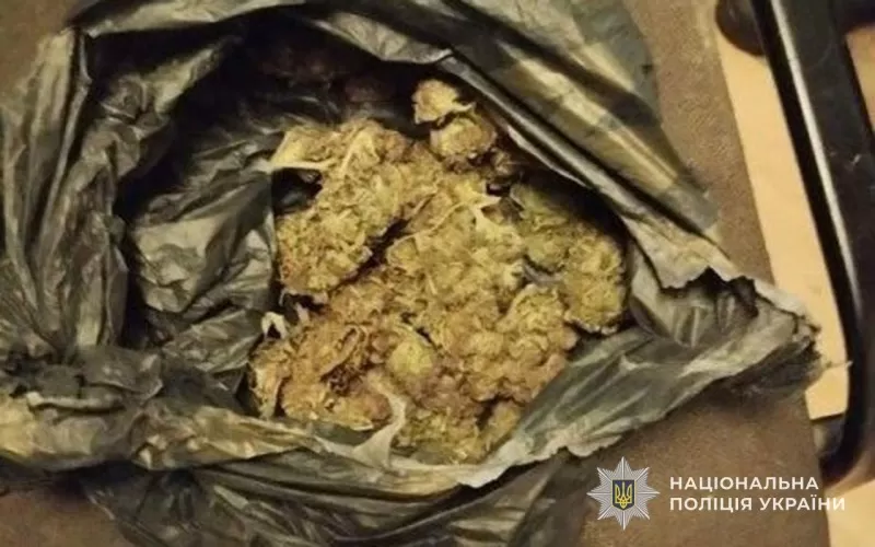 Родинний наркобізнес: подружжя на Збаражчині торгувало марихуаною