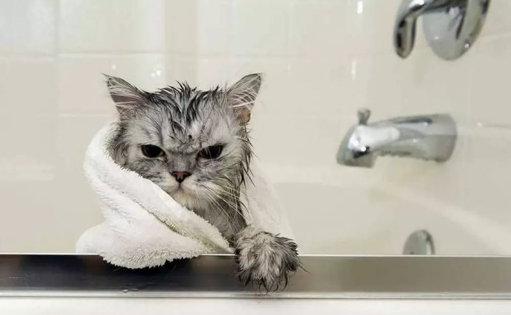 На Тернопільщині цілий мікрорайон буде без води