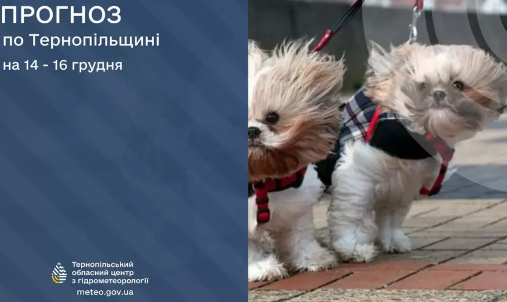 На Тернопільщині попереджають про посилення вітру