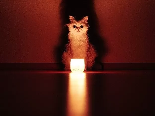 На Тернопільщині оновили графік відключень на 14 січня