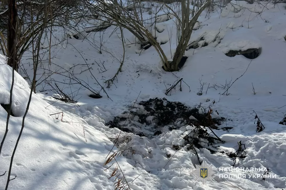 На Тернопільщині у жінки виявили сказ