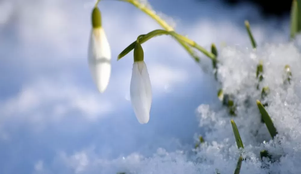 Березневі температурні рекорди Тернопільщини від -32 до +26 градусів