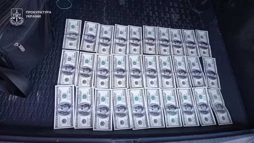 На Тернопільщині жінка за 3000 доларів обіцяла «вирішити питання» в системі «Оберіг»