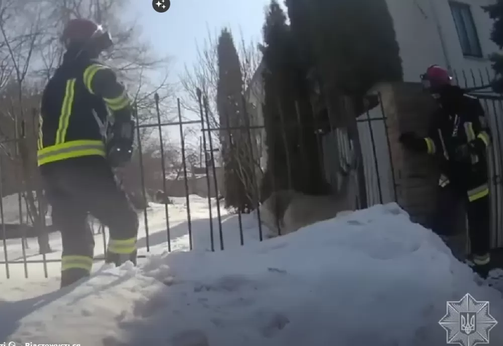 Рятувальна операція у Тернополі: інспектори допомогли косулі в приватному дворі