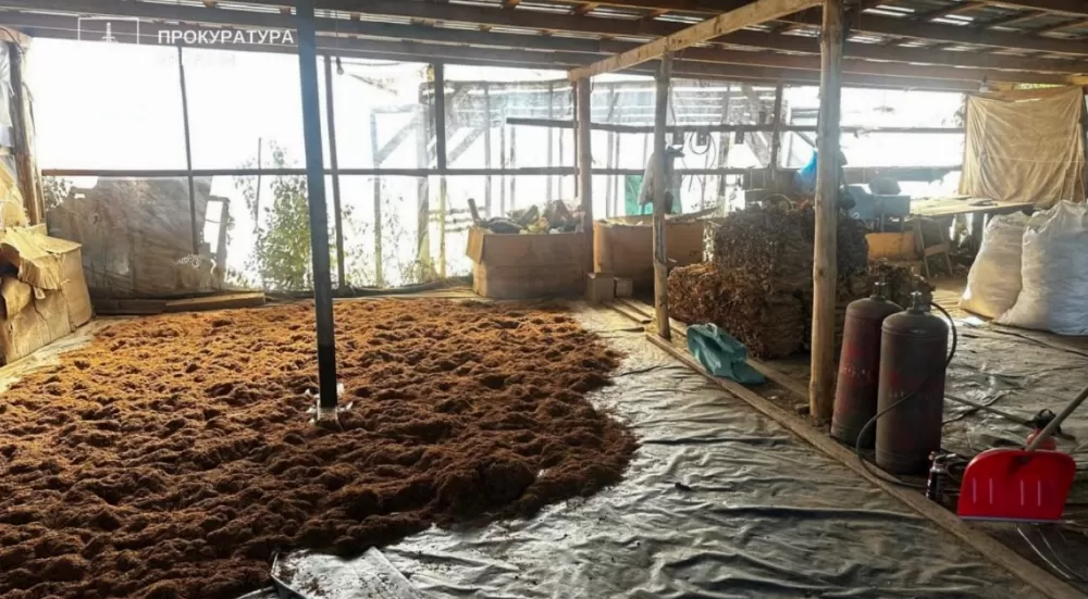 На Тернопільщині викрито незаконне виготовлення тютюну в промислових масштабах