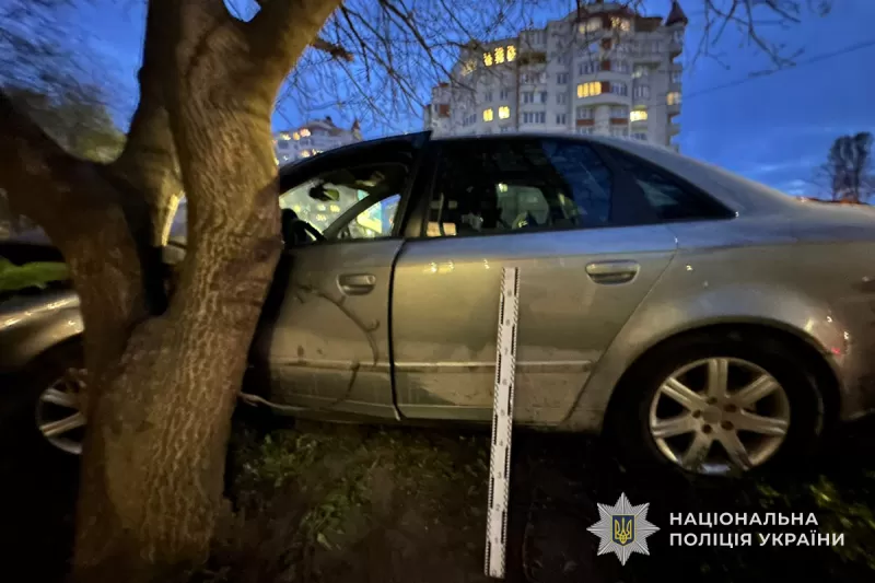 ДТП на Коновальця: "Ауді" влетіла у дерево, є потерпілі