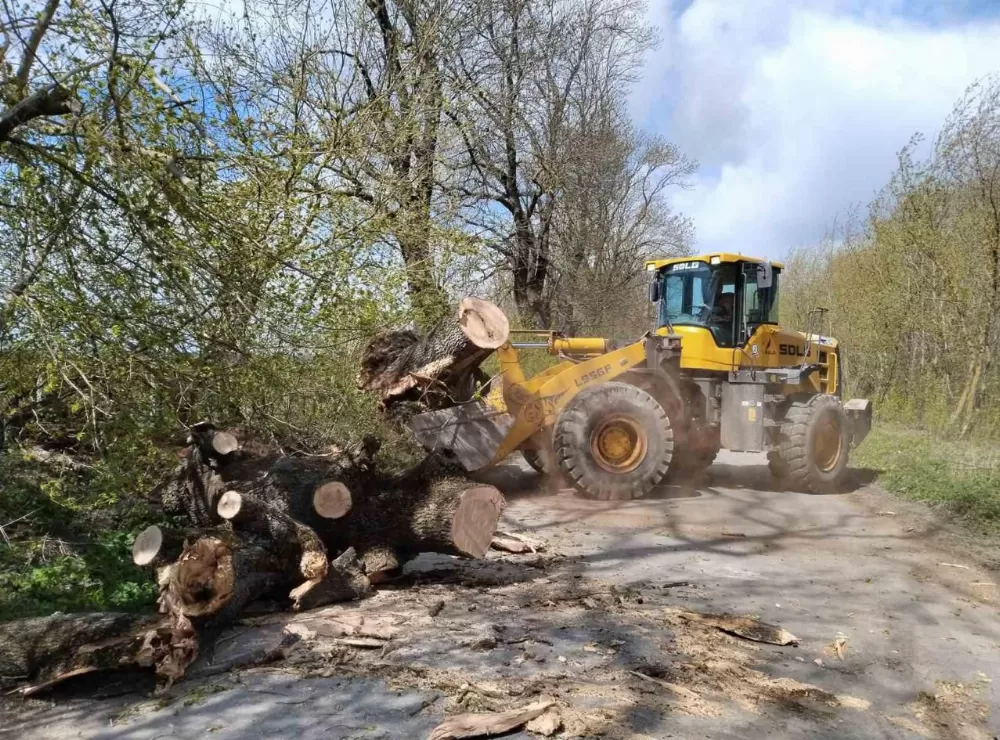Штормовий вітер знеструмив десятки населених пунктів області: аварійні бригади працюють