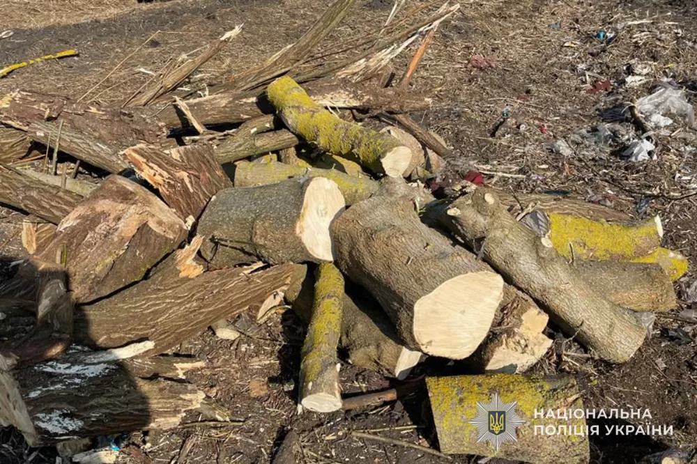 Селищному голові Тернопільщини повідомили про підозру: незаконна вирубка в „Загребеллі” завдала понад 8,2 млн грн збитків довкіллю