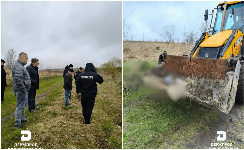 Поблизу Підгороднього виявили загибель тварин - лоша та собака