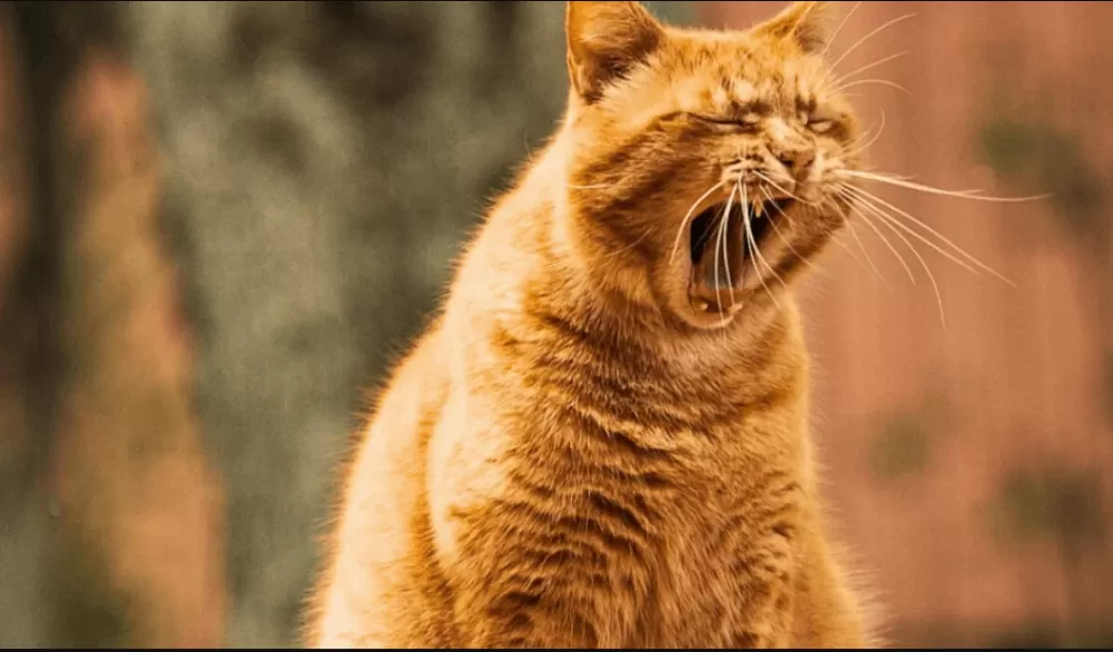 У Тернополі перенесли робочий день з 13 квітня