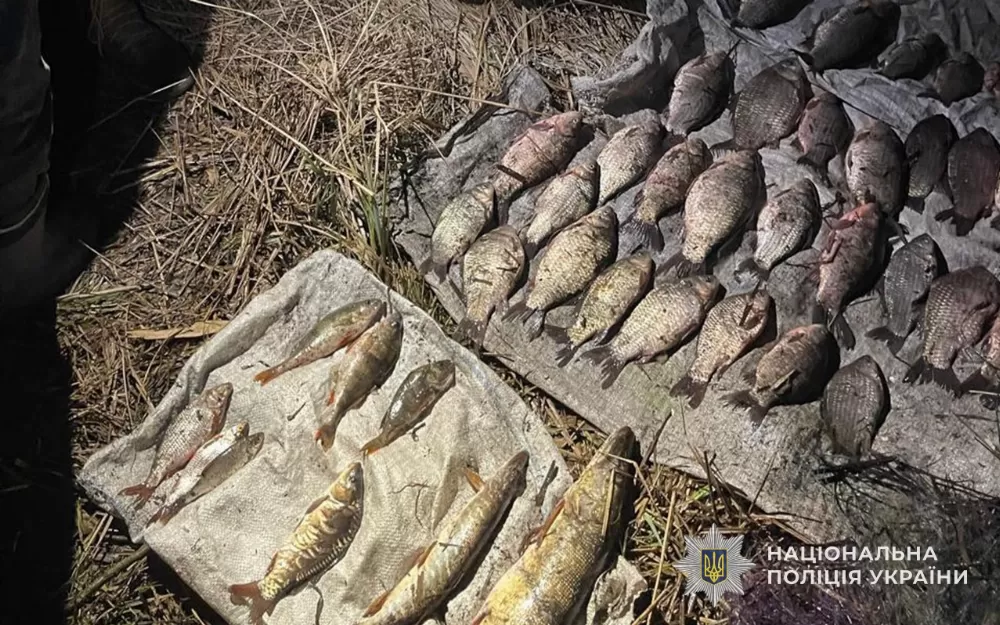 У Вишнівецькій громаді чоловік ловив рибу забороненим знаряддям: до трьох років тюрми