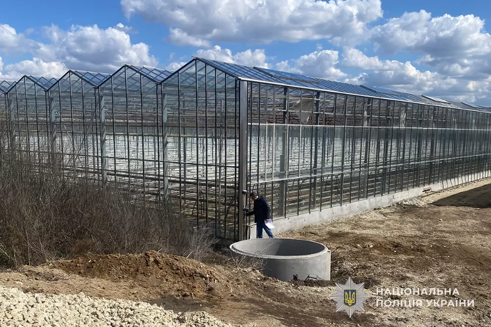 Самовільне будівництво теплиць на майже гектарі землі