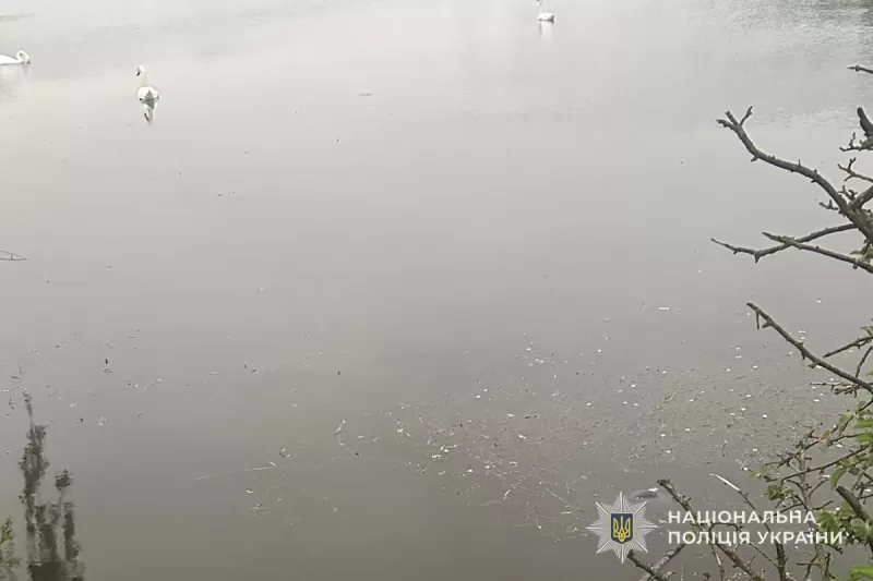 Трагічний випадок на водоймі: на Тернопільщині виявили тіло чоловіка