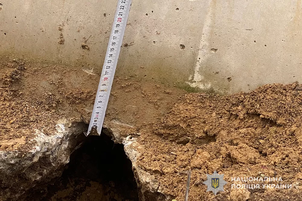Самовільне будівництво теплиць на майже гектарі землі