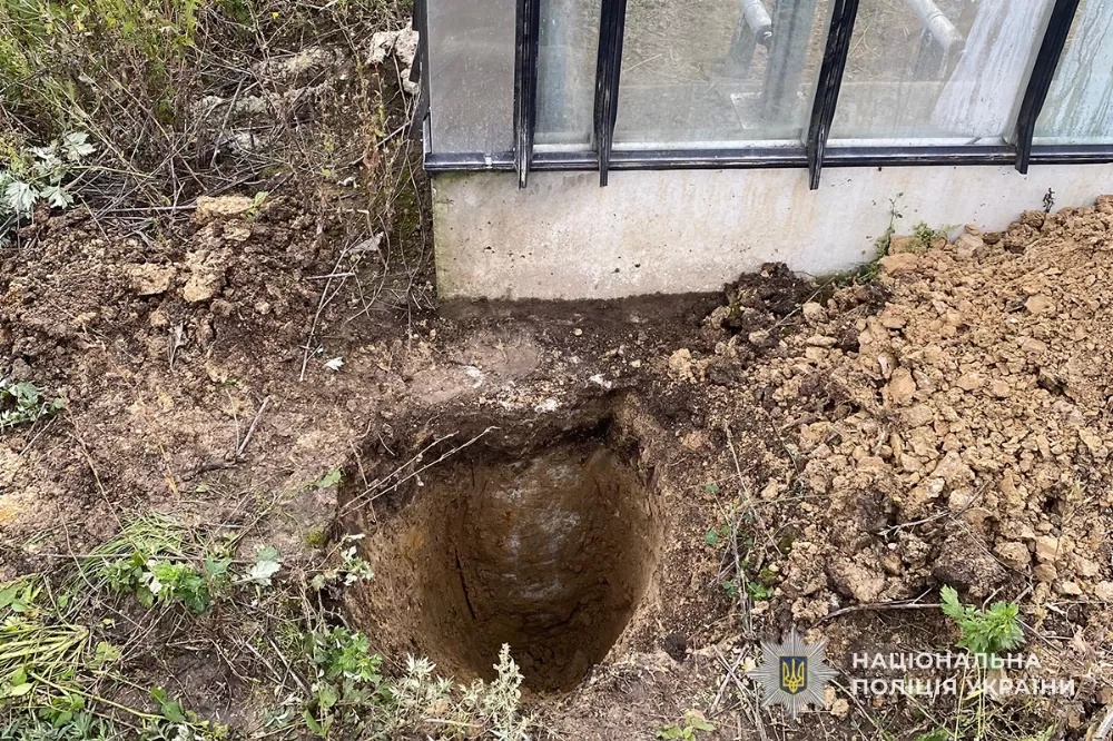 Самовільне будівництво теплиць на майже гектарі землі