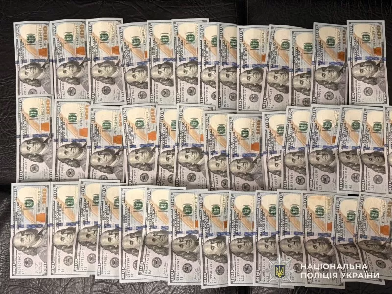 Тернополянка заплатила $5000 за фіктивні документи для виїзду сина за кордон