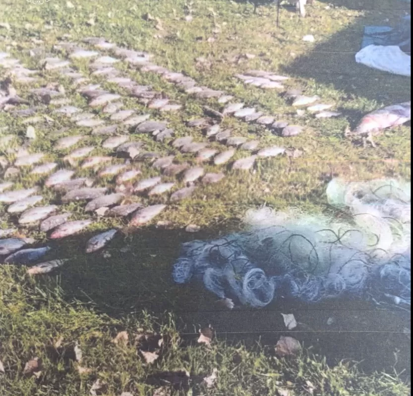 300 тисяч збитків: на Тернопільщині спіймали чоловіків, які ловили рибу сітками на річці Серет