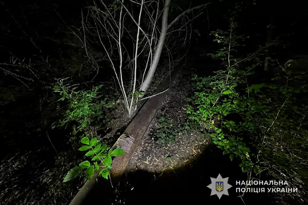 Згвалтування неплвнолітніх у Тернополі