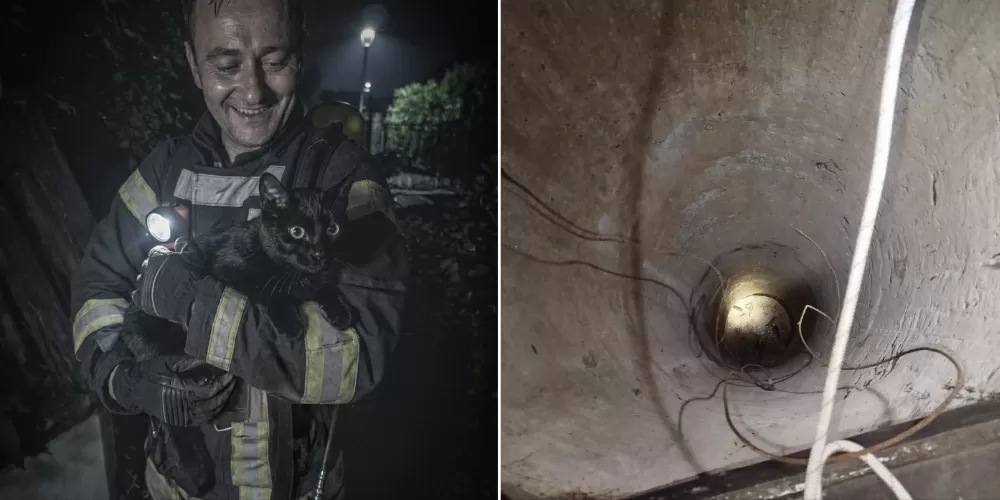 Як на Кременеччині з десятиметрового колодязя рятували кота