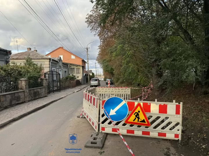 Рудницького