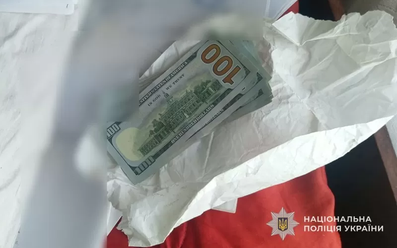 У пенсіонерки з Борсуківської громади зникли долари та гривні