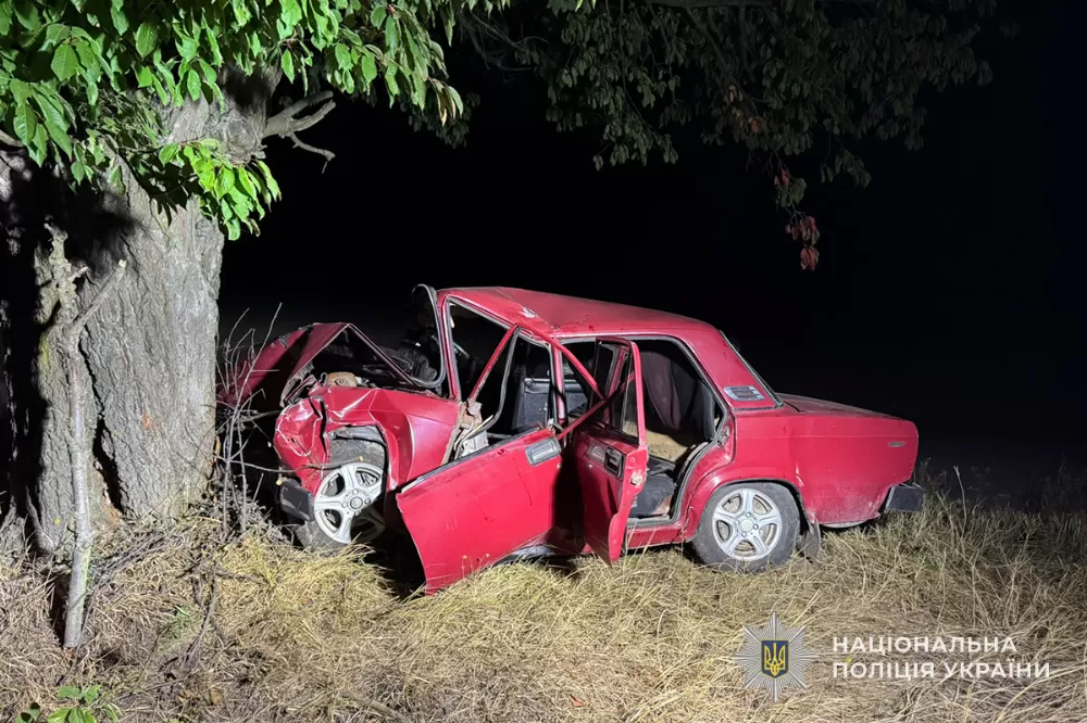 Неповнолітня водійка за кермом врізалася в дерево