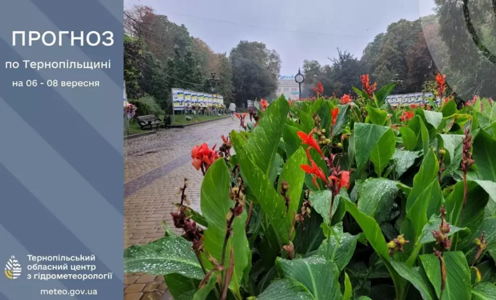 На Тернопільщині оголосили штормове попередження через сильний вітер