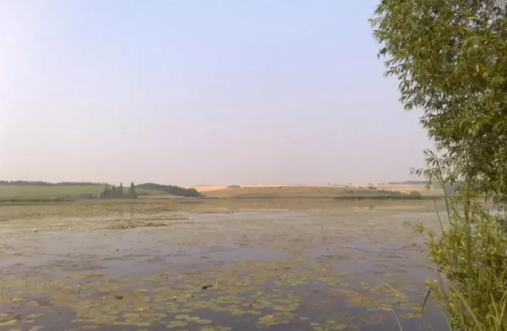 Горішньо-Івачівське водосховище обміліло: чи є загроза для водопостачання Тернополя